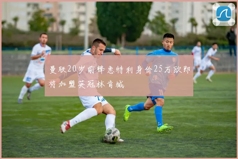 曼联20岁前锋惠特利身价25万欧即将加盟英冠林肯城